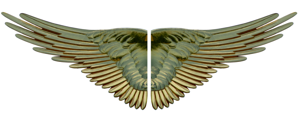 Vprašaj angele